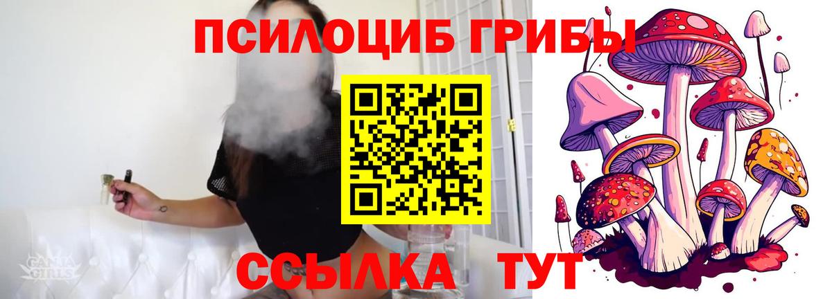 Галлюциногенные грибы MAGIC MUSHROOMS Борисоглебск